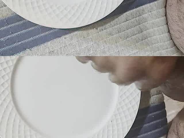Dinner is served. Who craves cum