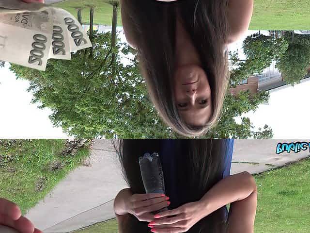 Gutsy girl Lara Fox fucks a stranger in public for money