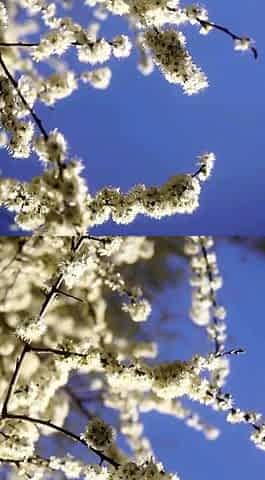 Amateur super hot brunette masturbating 3 mp4