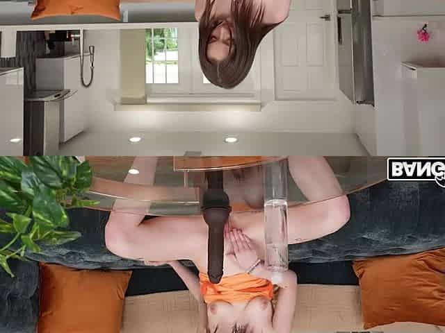 Venus Vixen vs Jovan Jordan