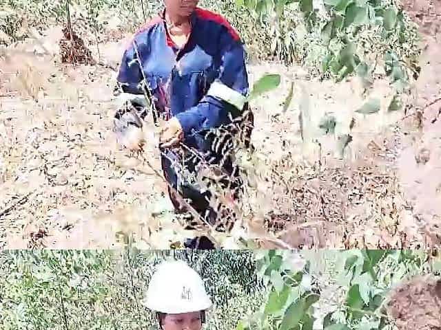 THAT BABE MASTURBATING HER TWAT IN THE BUSH AFTER THE JOB