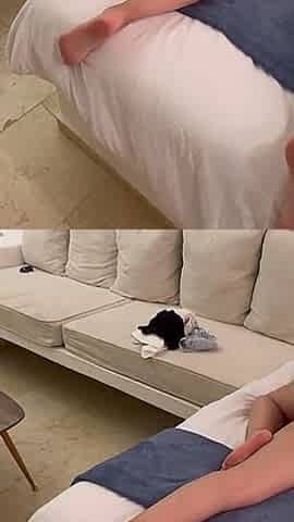 Lesbian Massage with Bouncing Asses That Ends in Sex
