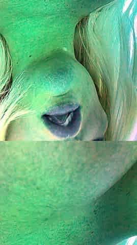 Big boob brunette masturbates on webcam