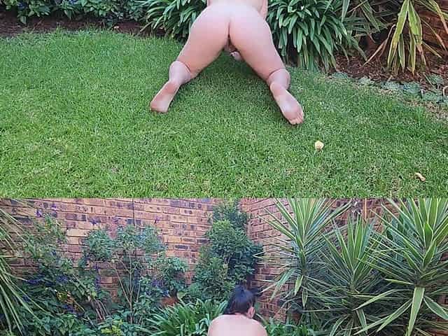 Naked small boobs big ass BBW pissing on a rose tree outside in the garden