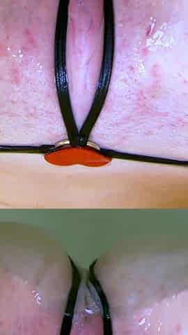 Hollis Ireland - Sheer Micro Bikini