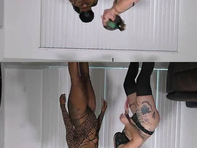 Thick Bootylicious Black lifts Thick Bootylicious Amazonian