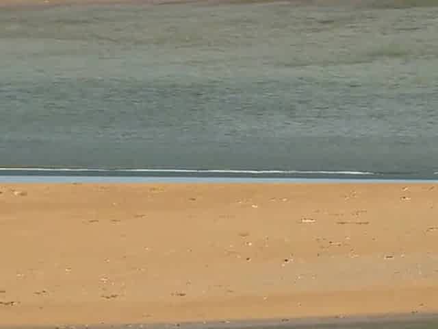 Slim hotty walks along the beach and swims in the sea. meet me