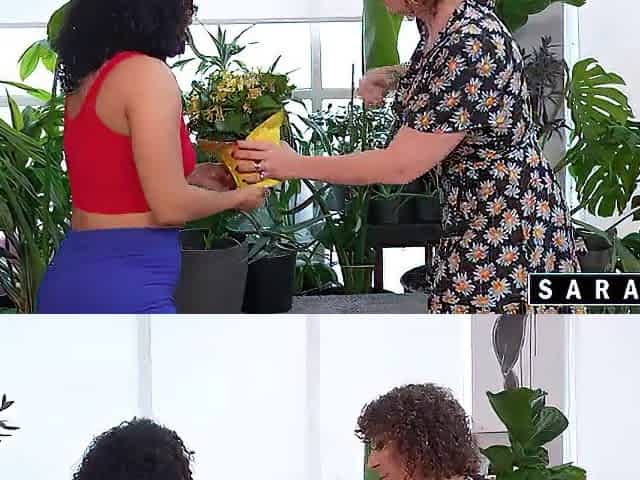 Hairy Rican And Sara Jay Trade Vagina Licks In Face Sitting Position!