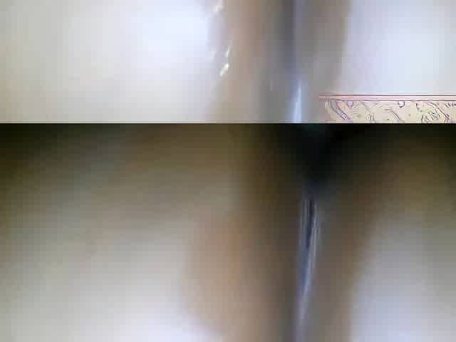 Ebony woman sitting with her tail