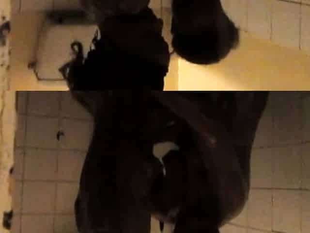 Big Ass Ebony Lesbians Fingering Pussy