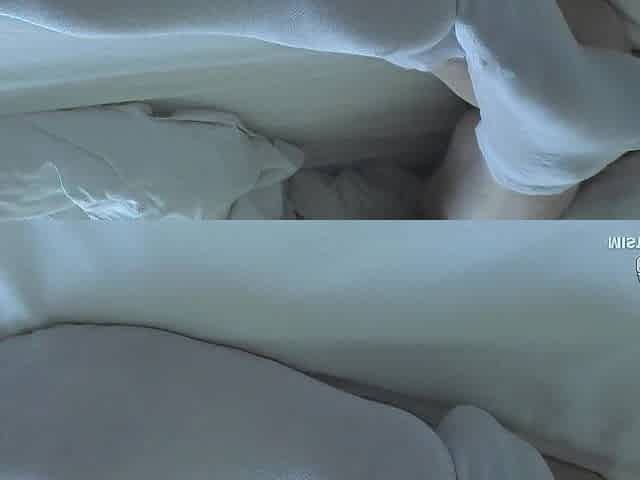 Enticing Mastix Legs In White Socks Greets The Morning