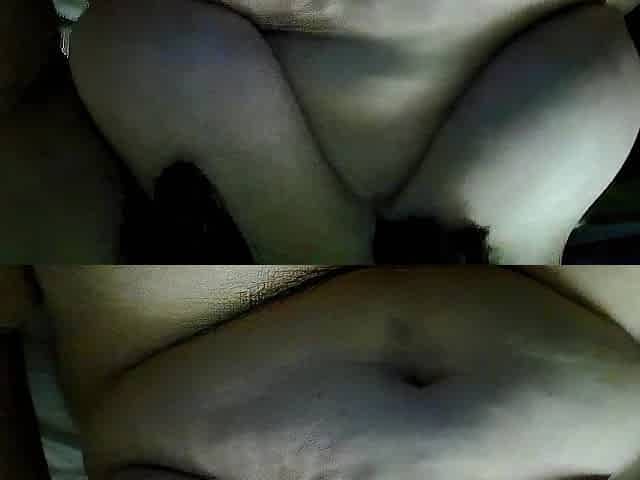 the vagina