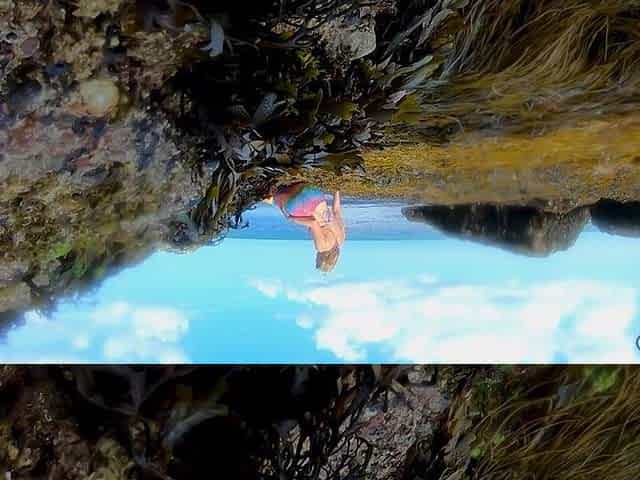 Mermaid Spotted! Wet Encounter in Lost Cove