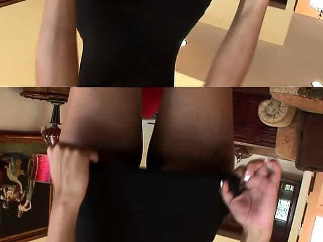 Dolce Damone's fat ass excites her lover