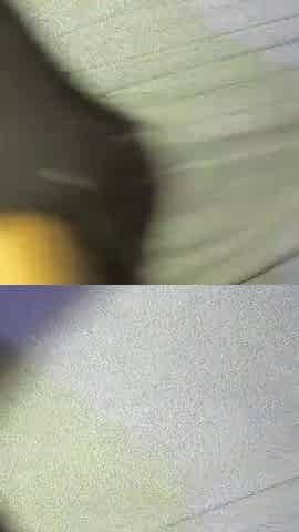Putting it in precious and unfathomable in the little butt.