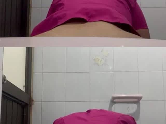 Gals peeing in public restrooms (caught).mp4