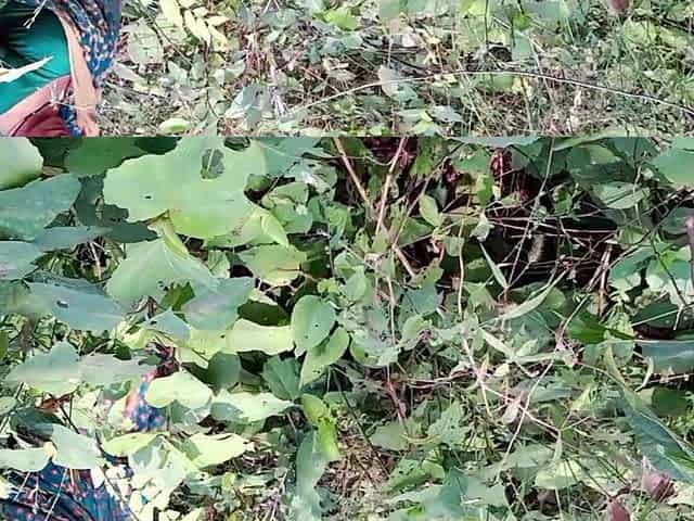 Indian Hot Girl Cheating Boyfriend in Jungle Sex