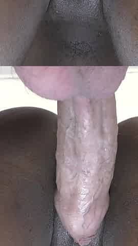 Ebony Womb Impregnated by Big White Cock