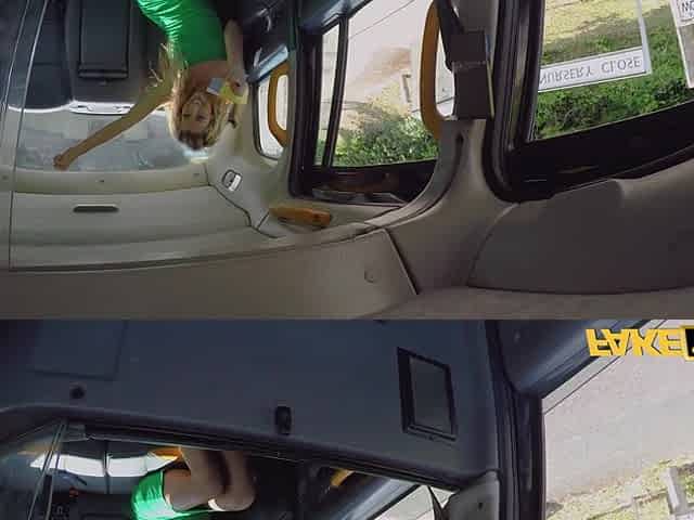 Fake Taxi Beautiful anal sex experience on the River Shannon in Britain