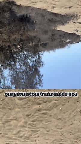 ????ORAL JOB On The Beach, I Hope Nobody FIND Me