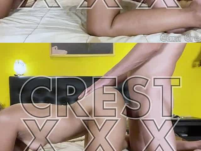 Ditaya Creams and then Webcam Crest Cums
