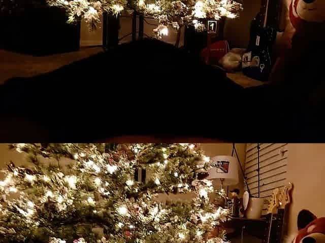 Romantic Christmas Eve Night with Bad Dragon Hazel