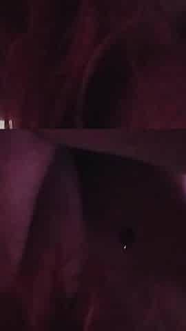 I Got Bored in Bed This Evening, so I Decided to Suck a Cock and Play with My Perfect Ass