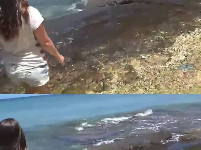 An outstanding Hawaiian vacation with creampies and squirting