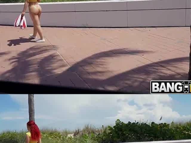 Vacation Penis