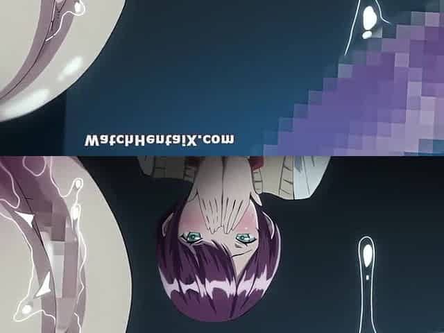 Comics comics, Animation porn