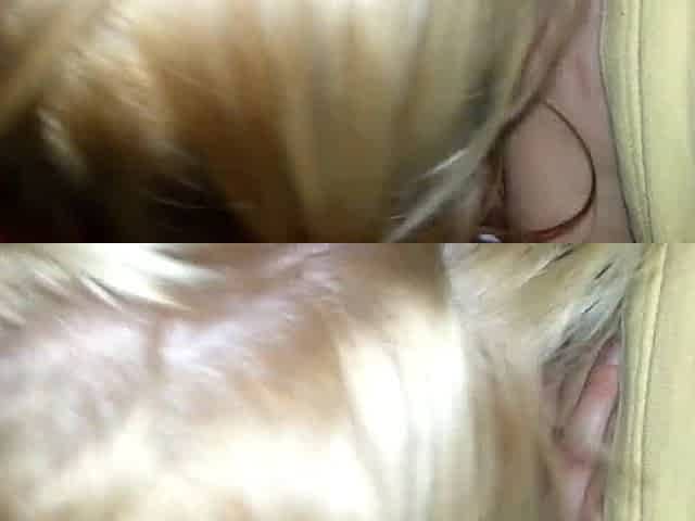 only-blowjob-