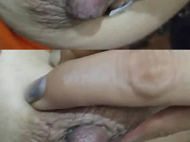 Finnger her cunt and anal with Sex-toys