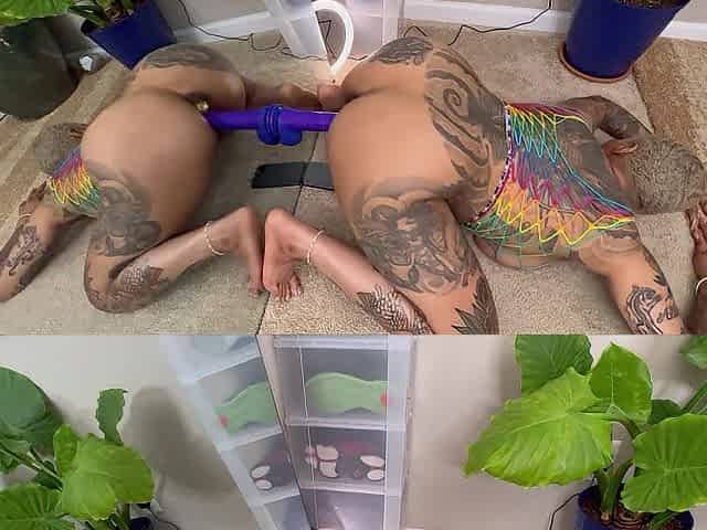Backshots the SOLO way