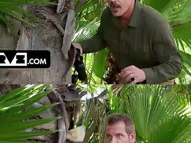 Into The Wild: Bush Hunter Catches The Floridian Hirsute Teen (Recent Experiment)