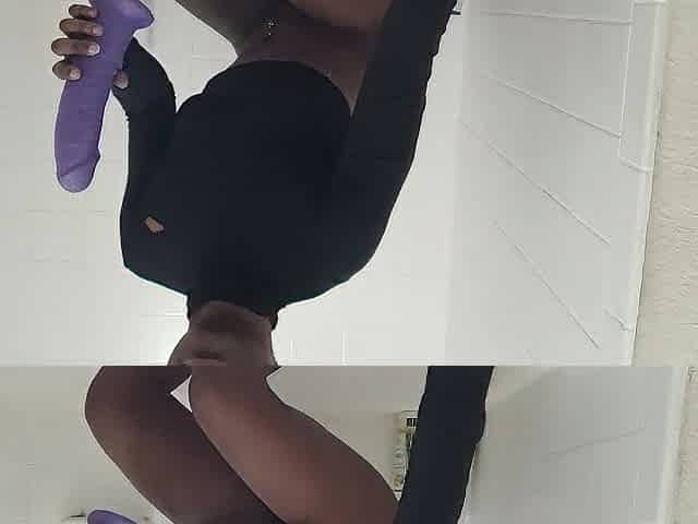 Ebony Stud-horse