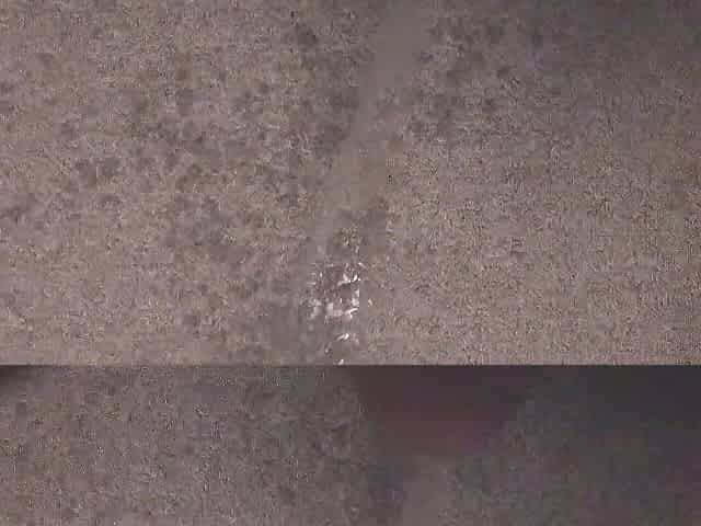 Peeing All Over My Soaking Void urine-Stained Carpet