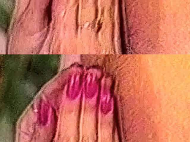 Amateur mature couple blowjob