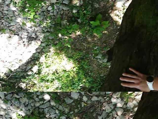 Frantic RISKY PUBLIC sex on the wood by the river near tourists... Slutty as hell. POV