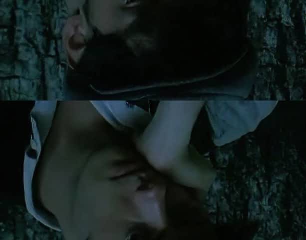 La cousine (1995)