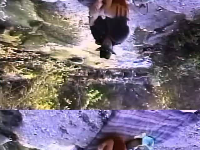 Brunette gives mass blowjob outdoors