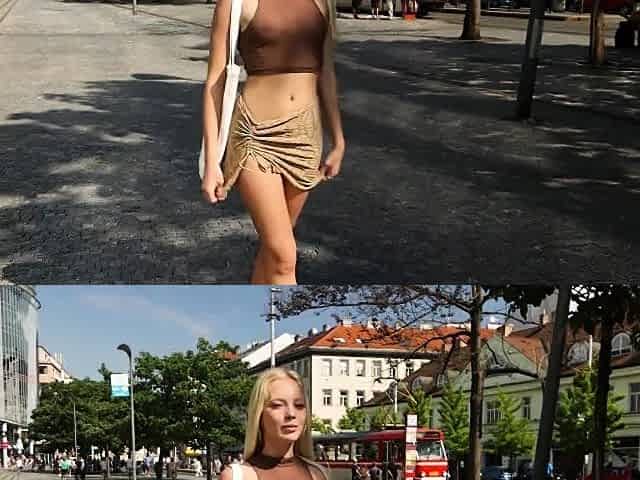 Emma White - Brown Sheer Top
