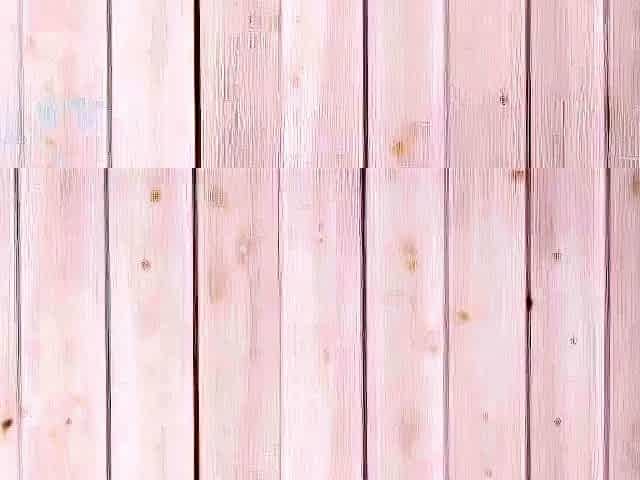 Beauty young teen blowjob homemade