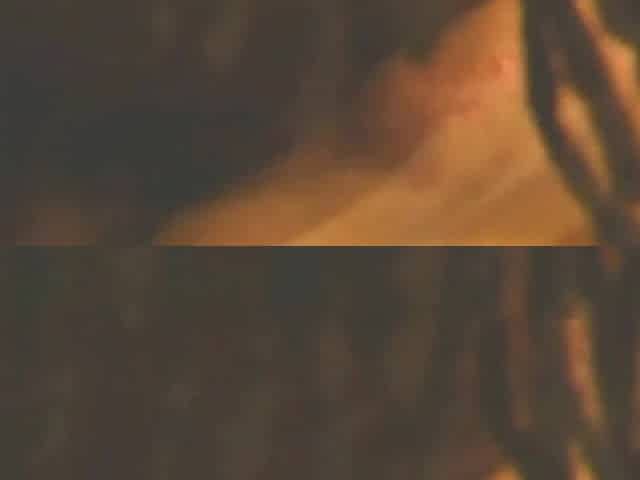 Jewel De Nyle interracial vintage porn