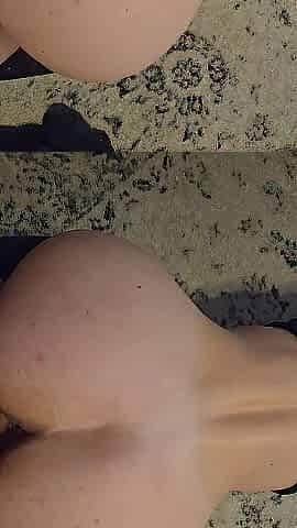 Close up doggy