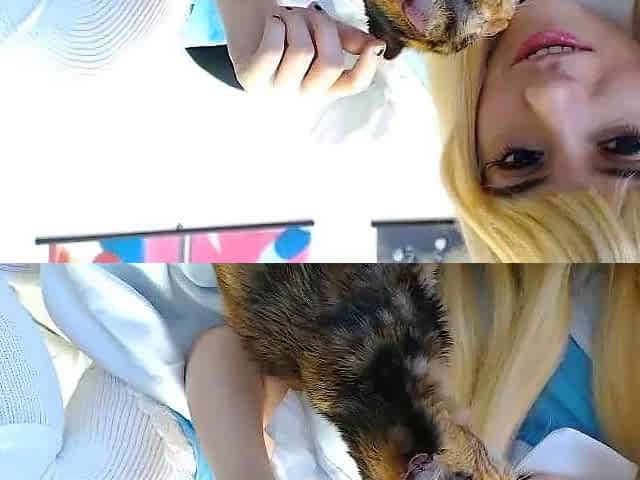 Amateur Blonde Teen Plays Solo with Toy Webcam Porn