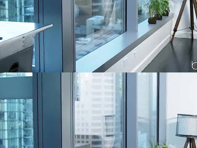 Chicks - High Rise Exhibitionist