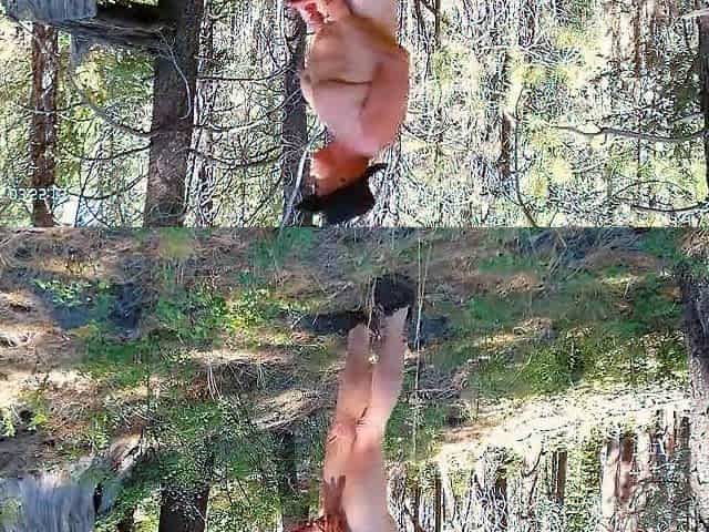 Simscristian05 - update #691 - IN NATURE'S GARB GOING DOWN THE HILL -SHEER - Jul 10, 2026