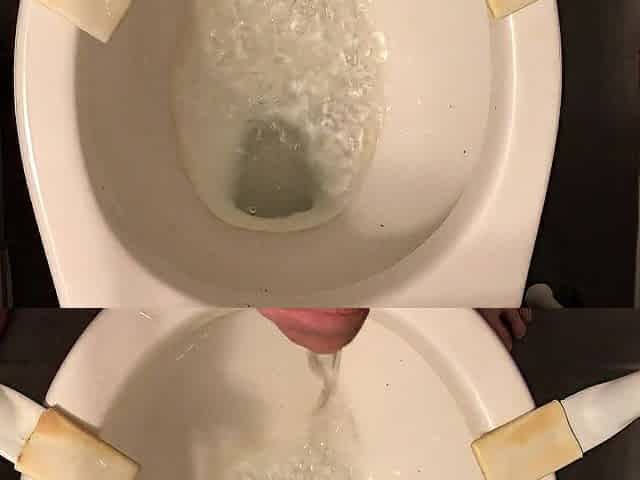 Vigour Pissing in the water closet after 2 beers