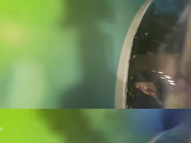 0010573_Japanese_Censored_MGS_19min