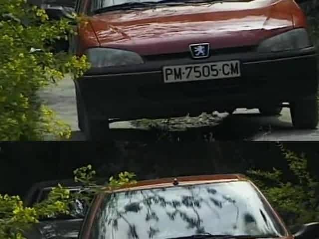 Maria Roswitha Car Edited